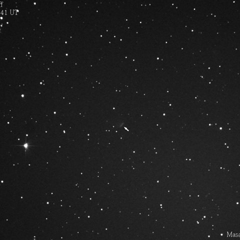ワイスマン-スキッフ彗星 :2019/12/24