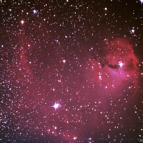 わし星雲の頭部