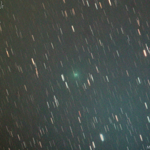 岩本彗星 (C/2020 A2)：2020/02/04