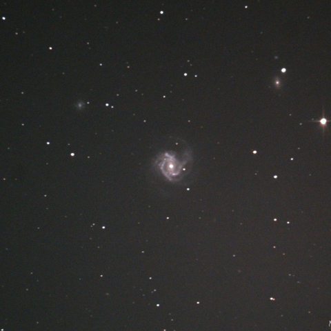 M61 (NGC4303) 銀河