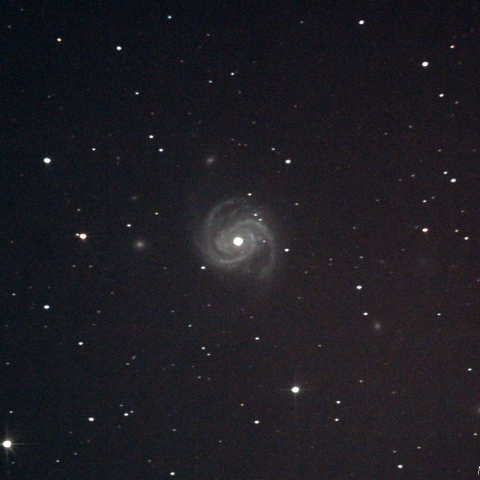 M100 (NGC4321) 銀河