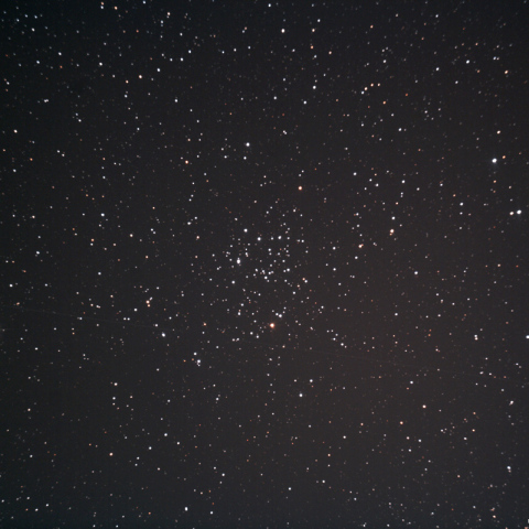 M50 (NGC2323) 散開星団