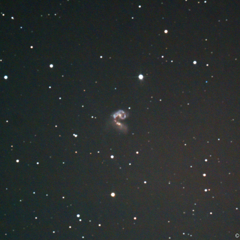 NGC4038 (アンテナ銀河)
