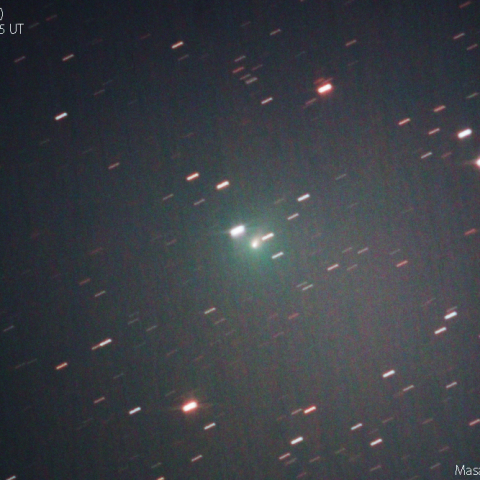 アトラス彗星(C/2019 Y4)：2020/03/19