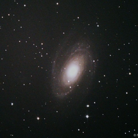 M81 (NGC3031) 銀河