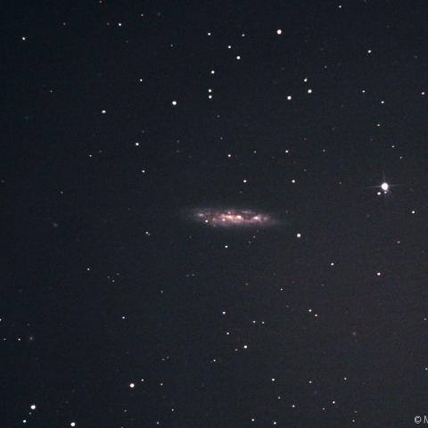 M108 (NGC3556) 銀河