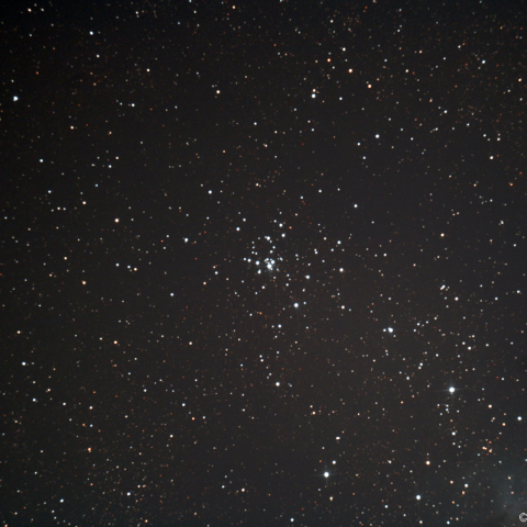 M21 (NGC6531) 散開星団