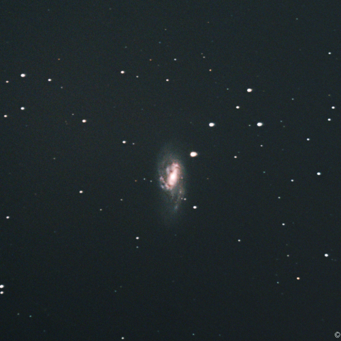 M66 (NGC3627) 銀河
