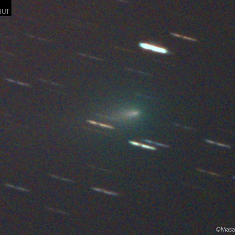 C/2019 Y4 (ATLAS)：2020/04/10