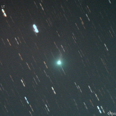 北天の三彗星：アトラス彗星(C/2019 Y1)