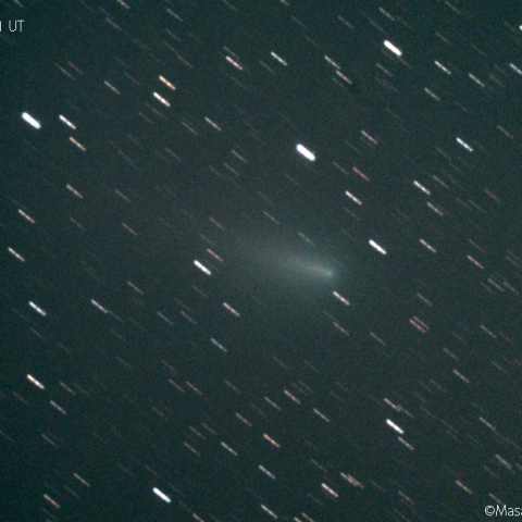 北天の三彗星：アトラス彗星(C/2019 Y4)