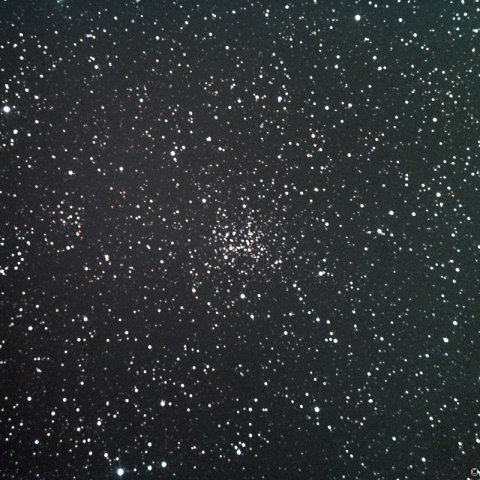 NGC2194 散開星団