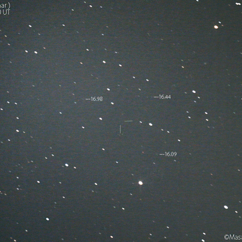 パロマー彗星 (P/2019 LM4) ：2020/05/29