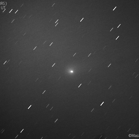 北天の三彗星：パンスターズ彗星 (C/2017T2)