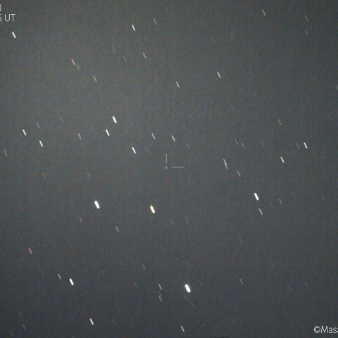 北天の三彗星：アトラス彗星 (C/2019 N1)