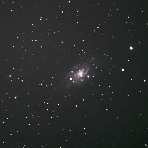NGC2403 銀河