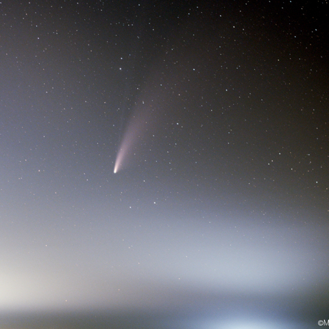 50mmによるネオワイズ彗星：2020/07/19