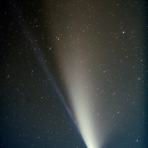 300mmによるネオワイズ彗星：2020/07/19