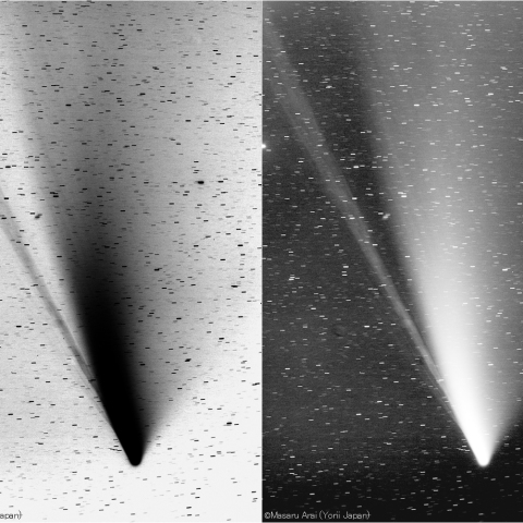 300mmによるネオワイズ彗星Ⅱ：2020/07/19