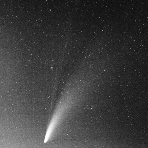 90mmによるネオワイズ彗星Ⅲ：2020/07/19