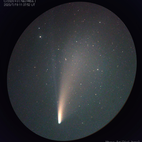 180mmによるネオワイズ彗星Ⅱ：2020/07/19