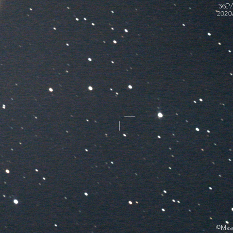 ホイップル彗星 (36P)：2020/10/25