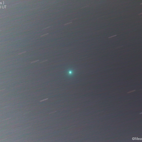 エラスムス彗星 (C/2020 S3)：2020/11/11