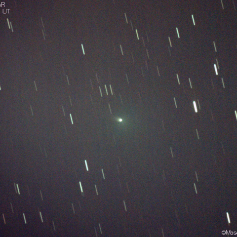 ラッセル-リニア彗星 (156P)：2020/11/10