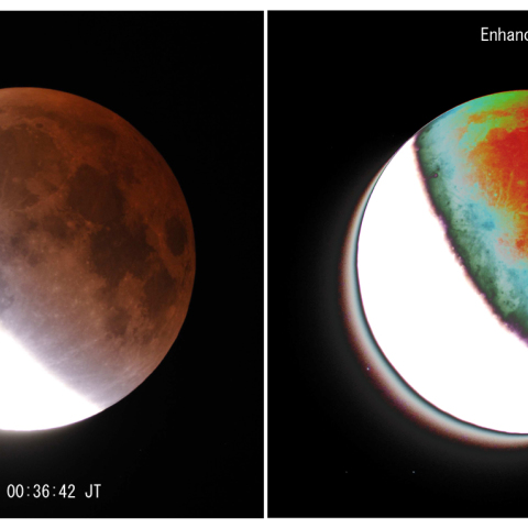 ブルーベルト(BlueBelt)