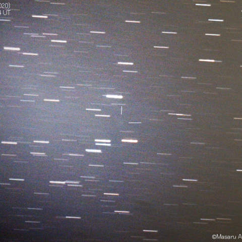 マックホルツ第2彗星 (141P)：2020/12/09