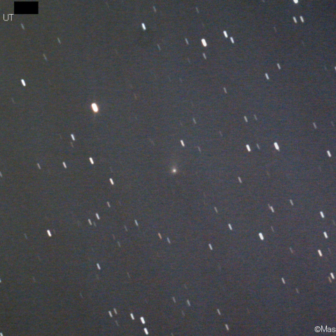 ボアッティーニ彗星 (398P)：2020/12/06