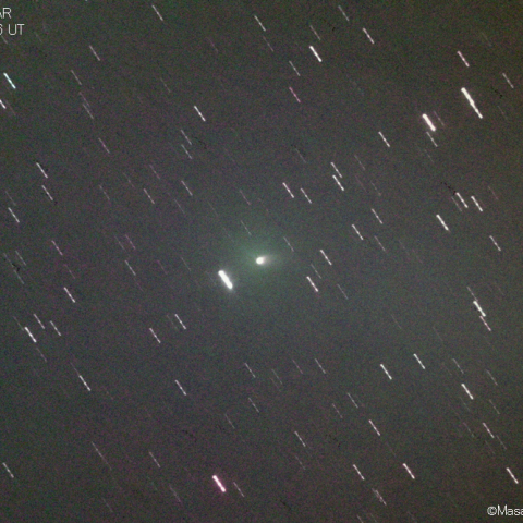 ラッセル-リニア彗星 (156P)：2020/12/06