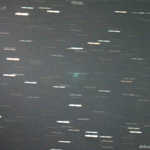 急増光！マックホルツ第2彗星 (141P)：2020/12/15