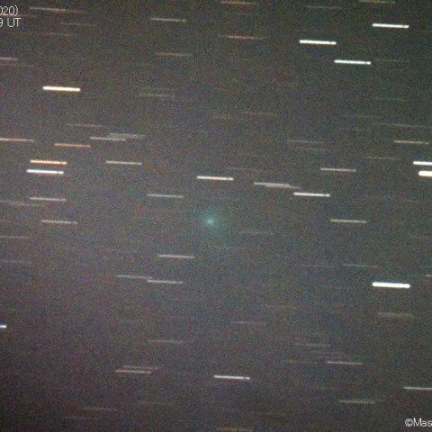 マックホルツ第2彗星 A核 (141P-A)：2020/12/19