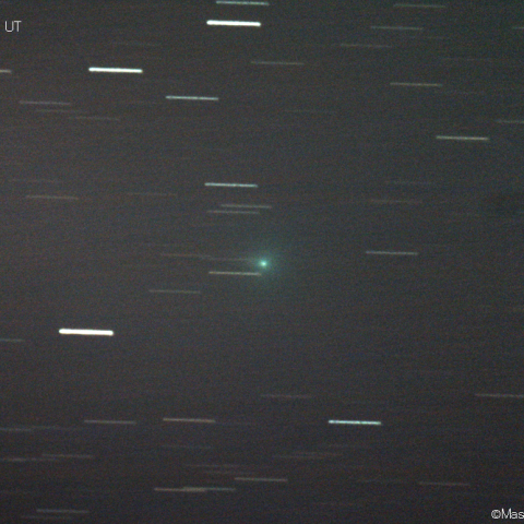 マックホルツ第2彗星 A核 (141P-A)：2021/01/04