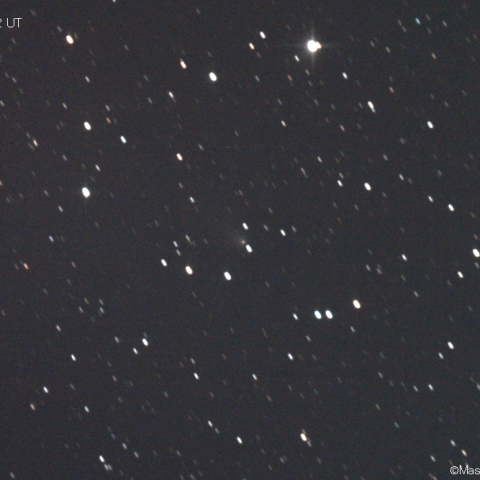 ボアッティーニ彗星(398P)：2021/01/08