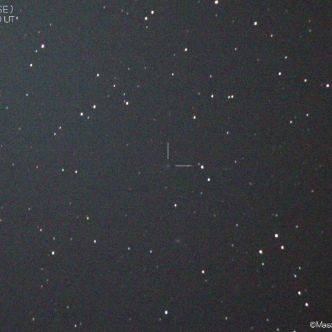 ネオワイズ彗星 ( C/2021A4 )：2021/02/09