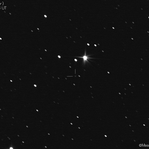 パロマー彗星 (C/2020T2)：2021/02/10