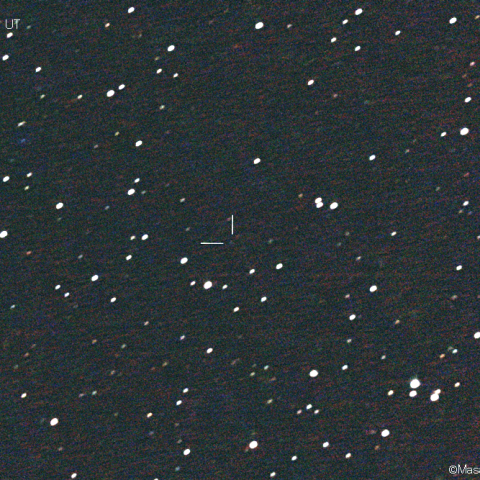 スペースウォッチ彗星 (293P):2021/02/10