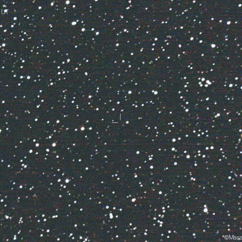 ハグ-ベル彗星 (178P)：2021/02/10