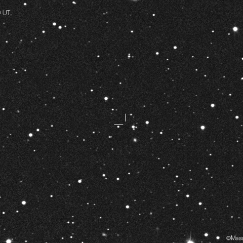 クリステンセン彗星 (266P):2021/02/19