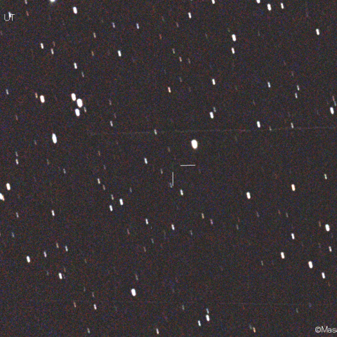 レモン彗星 (405P)：2021/02/19