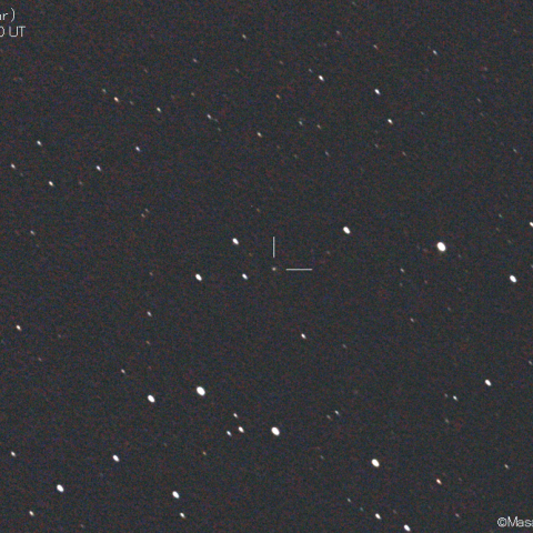 パロマー彗星 (C/2020T2)：2021/02/19