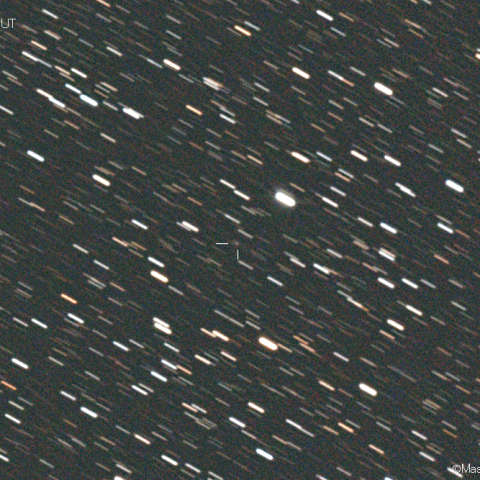 ボアッティーニ彗星 (398P):2021/02/19