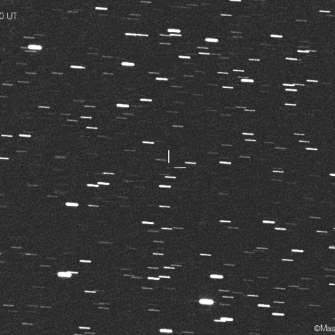 ポンス-ヴィネッケ彗星(7P)：2021/02/19