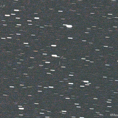 ポンス-ヴィネッケ彗星(7P)：2021/02/20