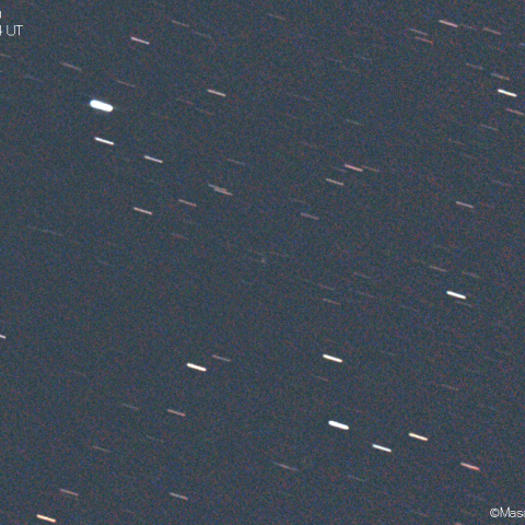 スワン彗星 (C/2021D1)：2021/04/05