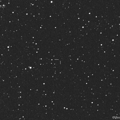 ニート彗星 (169P)：2021/03/18