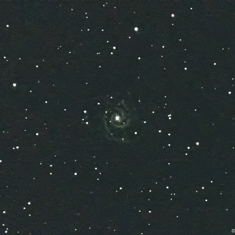 M74 (NGC628)：2020/10/25