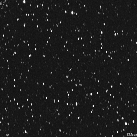 ネオワイズ彗星 (C/2021A2)：2021/04/05